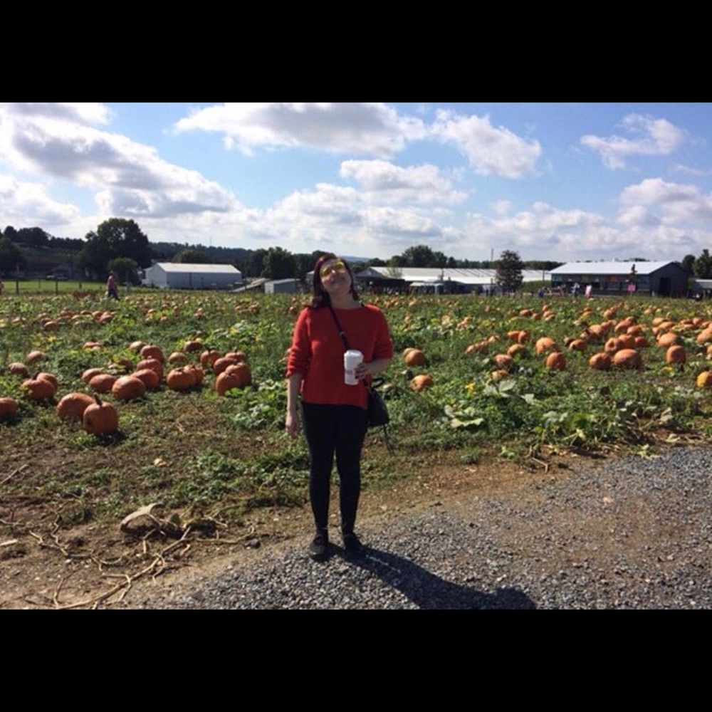 gap orange/red sweater 🎃 - Picture 4 of 4